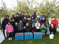 りんご収穫2.JPG