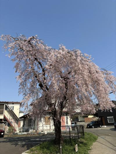 IMG_1854.JPEG