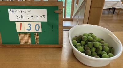 25.6うめもぎ１.JPEG