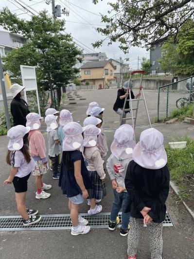 25.6うめもぎ４０.JPEG