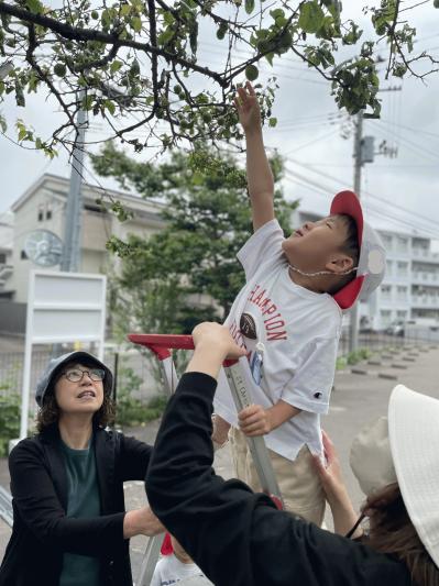 25.6うめもぎ４３.JPEG